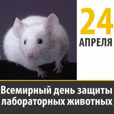 Бесплатно открытки с надписями с днем защиты лабораторных животных