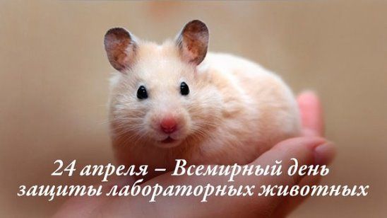 Бесплатно открытки с надписями с днем защиты лабораторных животных
