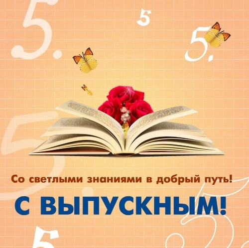 Сайт Новозаимкой средней общеобразовательной школы — Новости