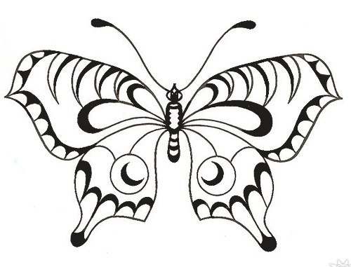 Трафареты шаблоны бабочки распечатать скачать, бесплатно