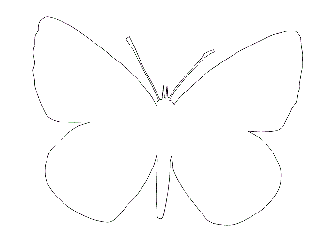 Трафареты шаблоны бабочки для вырезания