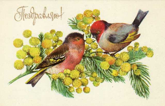 С надписью Поздравляю открытки, картинки Советского Союза