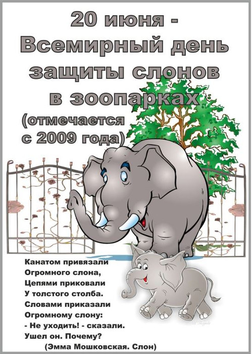 С днем защиты слонов открытки и картинки поздравительные