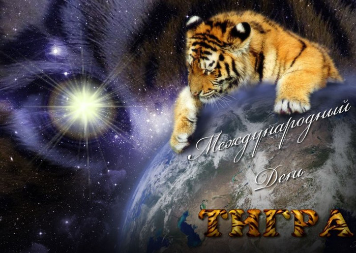 День тигра открытки