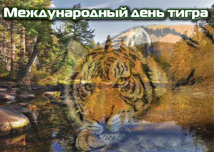 Ко дню тигра открытки и картинки бесплатно без регистрации и смс