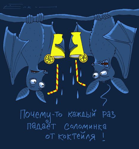 Ночь летучих мышей открытки, картинки анимация поздравить