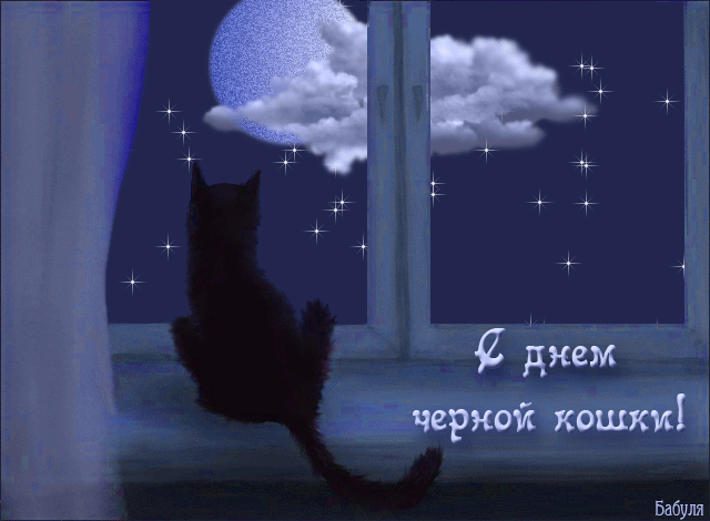 День черной кошки открытки, картинки анимация поздравить