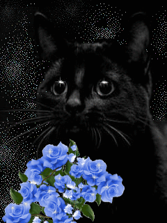 Ко дню черной кошки открытки и картинки бесплатно без регистрации