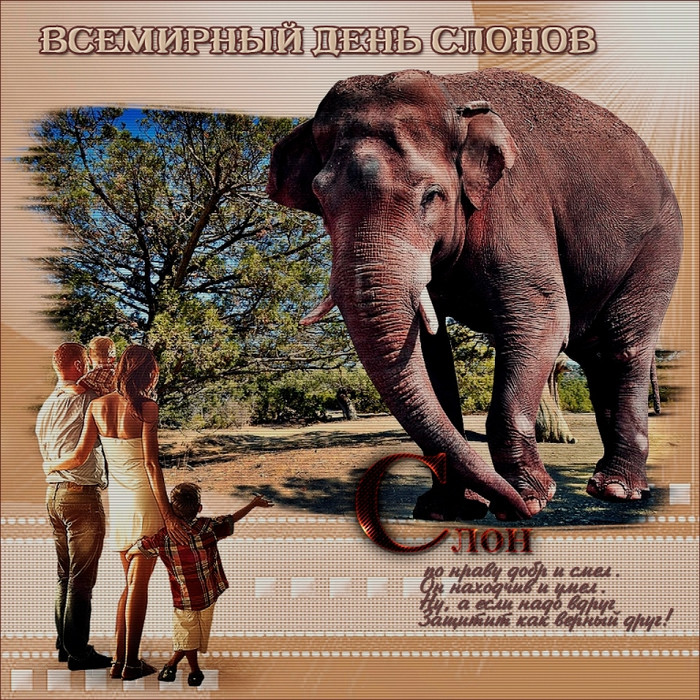 Ко дню слона открытки и картинки бесплатно без регистрации