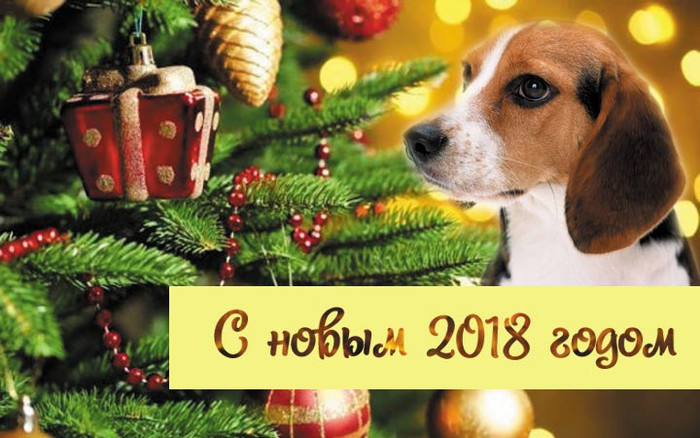 Год собаки 2018 открытки, картинки анимация поздравить