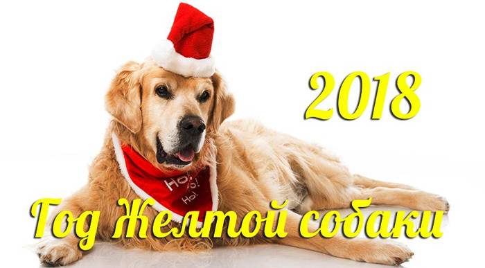 Новый год собаки 2018 открытки и картинки бесплатно без регистрации