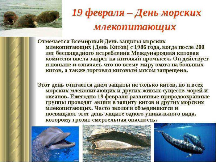 Открытки и картинки с надписями С днем кита бесплатно