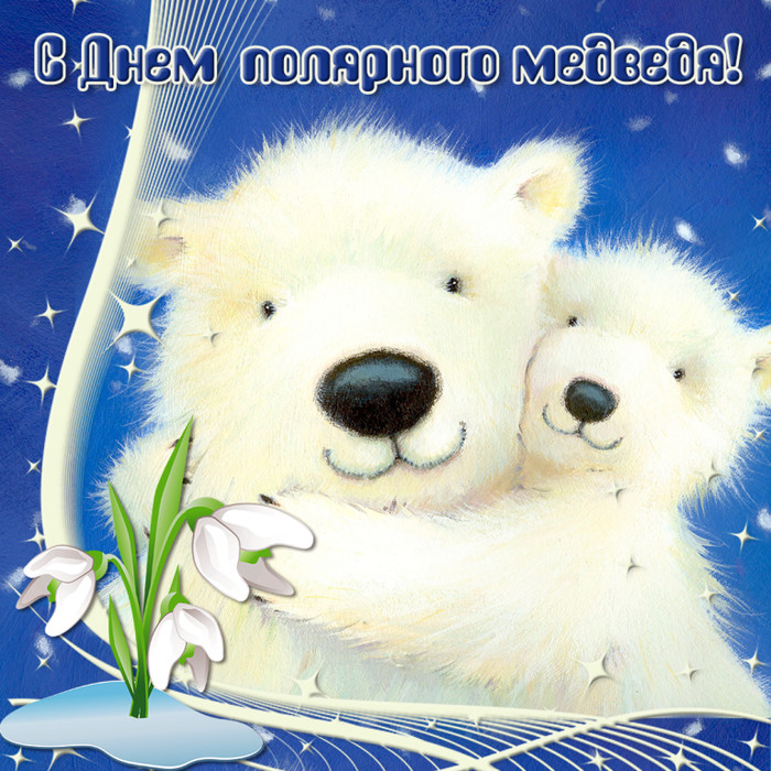 Картинки и открытки С днем полярного медведя скачать