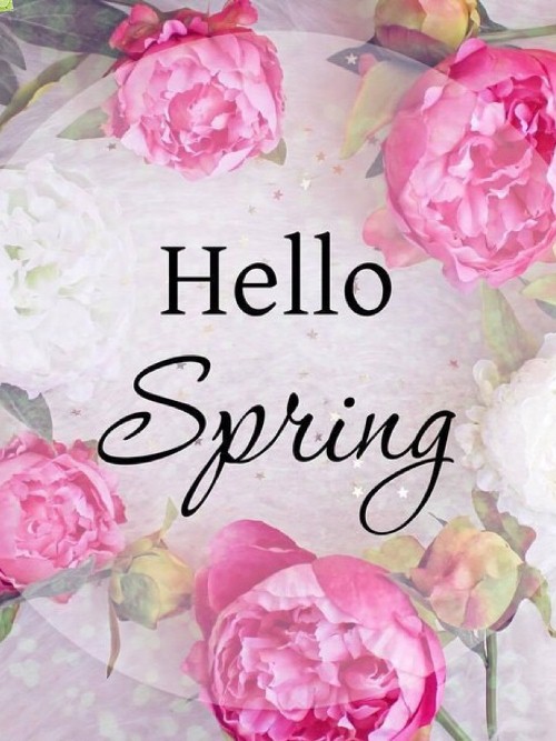 Открытки и картинки с надписями Hello spring бесплатно