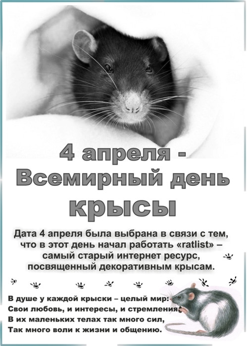 Открытки с надписями С днем крысы бесплатно